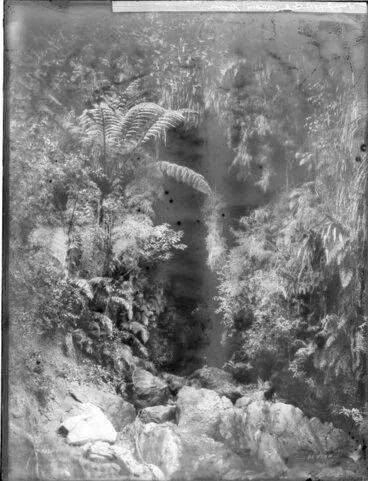 Image: Cave entrance in native forest, Pipiriki area, upper Whanganui River