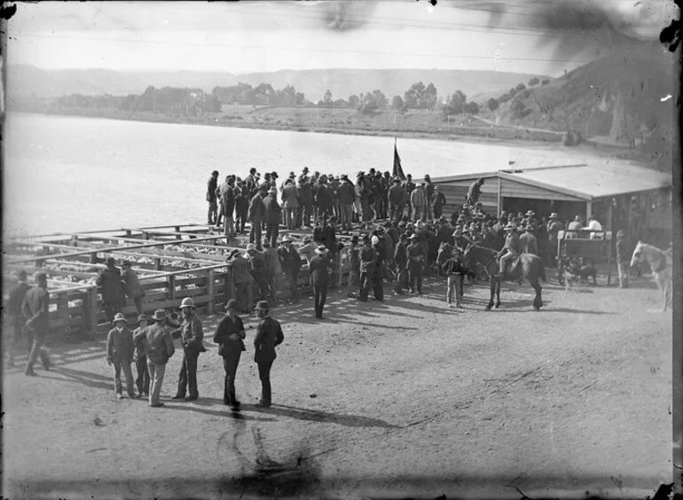 Image: Sale yards by the Whanganui River, including stock and buyers