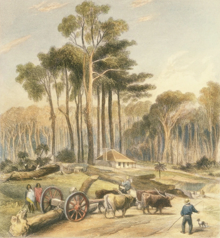 Image: [Brees, Samuel Charles] 1810-1865 :Messrs Clifford's & Vavasour's clearing (Skipwith's), Parerua Bush. [1847]