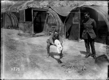 Image: New Zealand Tunnellers and their feline mascot in Dainville, France