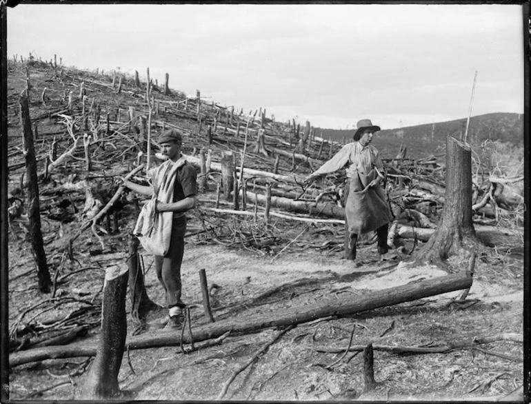 Image: Two men sowing seeds amongst tree stumps