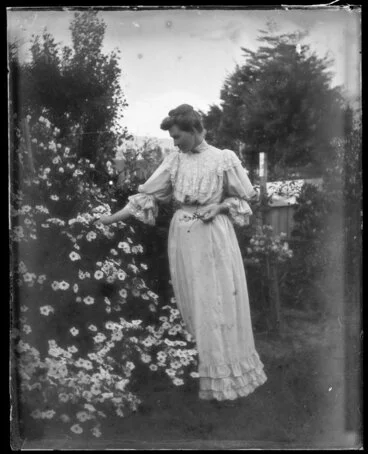 Image: Portrait of unidentified woman picking climbing roses in domestic garden