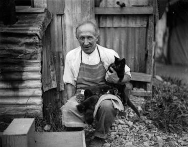 Image: Man with a cat and kittens, Akatarawa