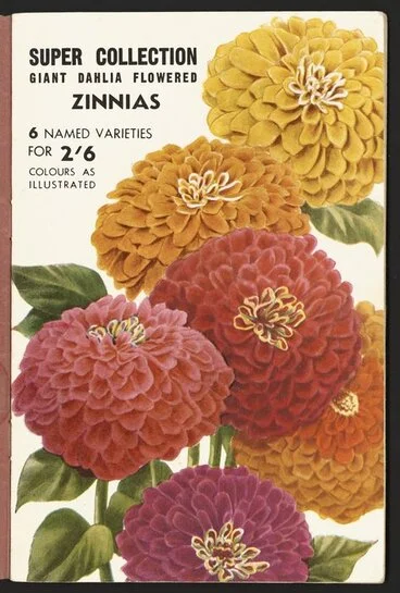 Image: F M Winstone (Seeds) Ltd: Super collection, giant dahlia flowered zinnias. 6 named varieties for 2/6. Colours as illustrated [1946]