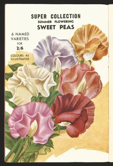 Image: F M Winstone (Seeds) Ltd :Super collection, summer flowering sweet peas. 6 named varieties for 2/6. Colours as illustrated [1946]
