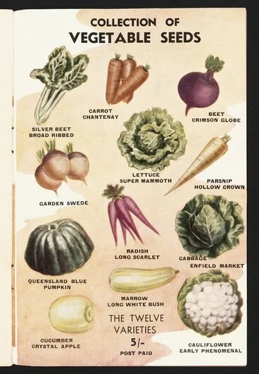 Image: F M Winstone (Seeds) Ltd :Collection of vegetable seeds. The twelve varieties 5/- post paid [1946]
