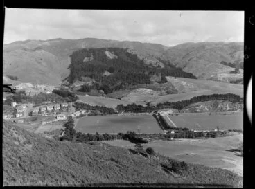 Image: Plantation at Berhampore, Wellington