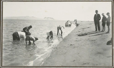 Image: Maori gathering pipi shellfish - Photograph taken by George Leslie Adkin.