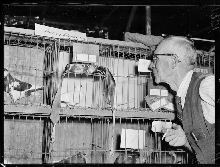 Image: Agricultural and pastoral show at Maidstone Park, Upper Hutt