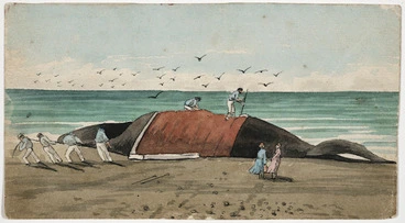 Image: [Cooper, Alfred John], 1831-1869 :Cutting the blubber off a whale on Mohaka Beach. [ca 1860?]