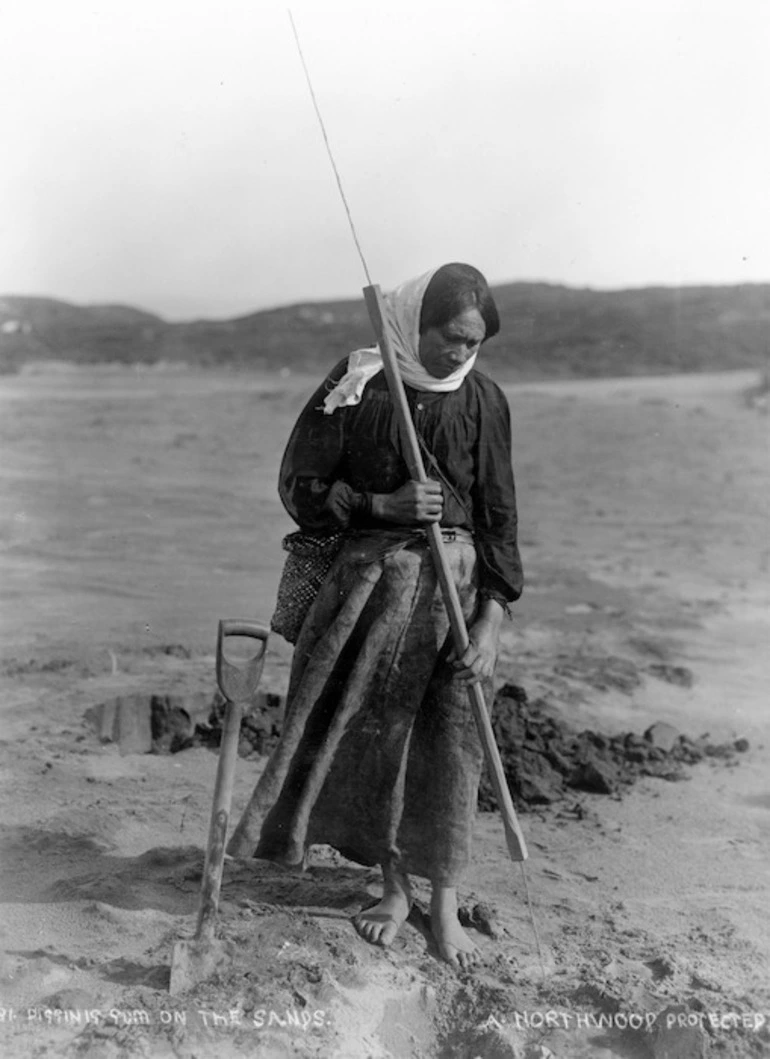 Image: Digging for gum, Parengarenga Harbour