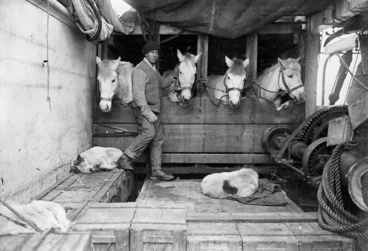 Image: Captain Lawrence Edward Grace Oates and ponies, Antarctica