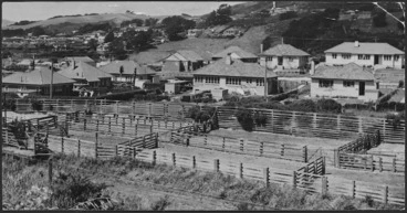 Image: Saleyards, and state houses, Johsonville, Wellington