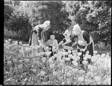 Image: Dutch people looking at tulips in the Wellington Botanic Garden