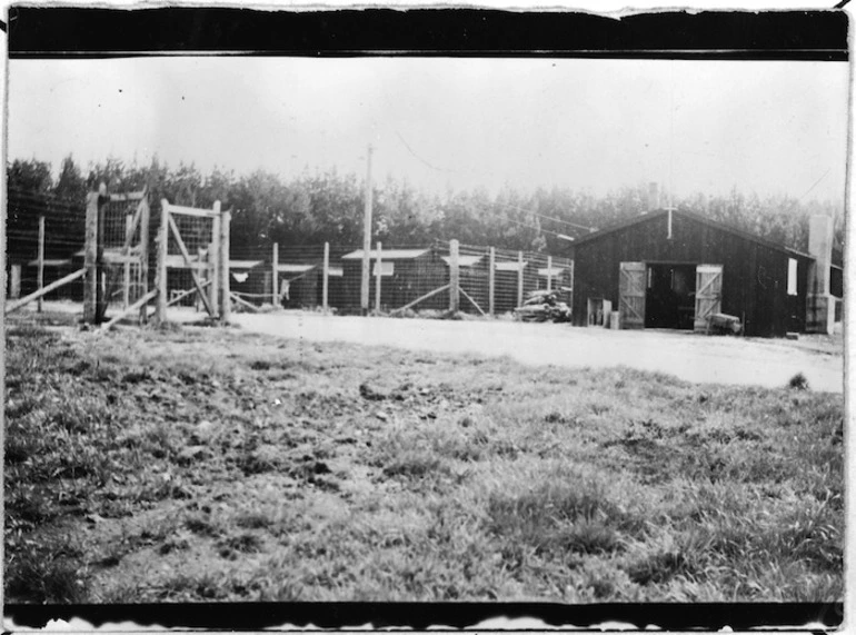 Image: Hautu Detention Camp, Taupo district