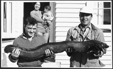 Image: Large eel