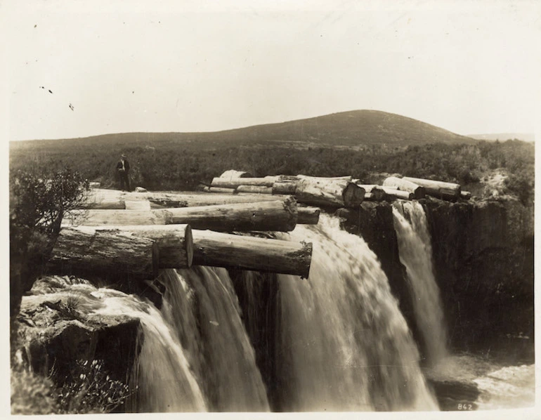 Image: Transporting logs by water, Wairoa River