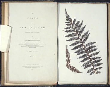 Image: Swainson, William, 1789-1855 :The ferns of New Zealand ... Wellington, the author, 1846 [Title page, plus first page of dried fern specimen]