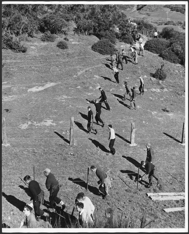 Image: Police searching the hills above Melrose Terrace, Wellington, New Zealand