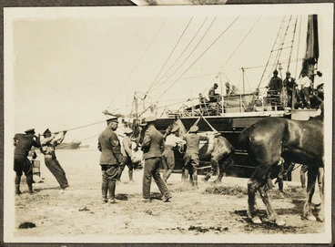 Image: Landing horses at Gallipoli