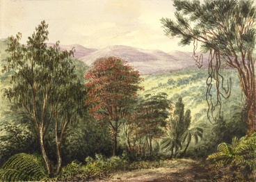 Image: Gold, Charles Emilius 1809-1871 :[Bush scene with flowering rata and young rimu, Wellington. 1848-1850s]