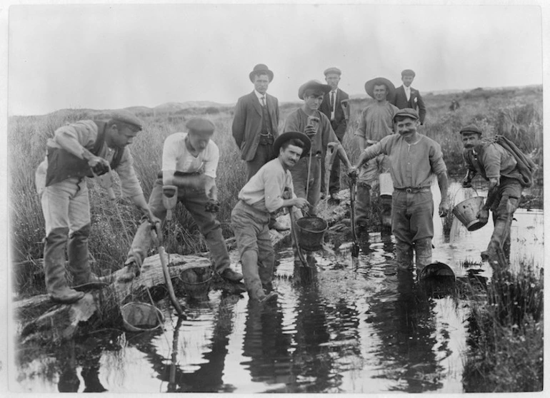 Image: Gumdiggers at work, Northland