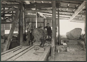 Image: Timber mill interior showing kauri log being processed