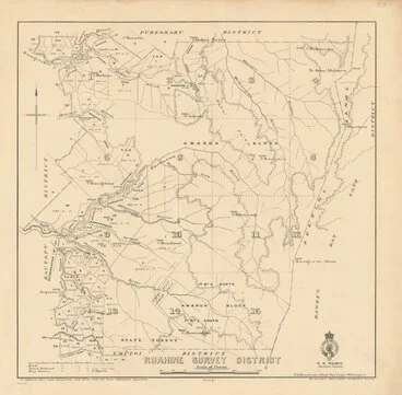 Image: Ruahine Survey District [electronic resource].