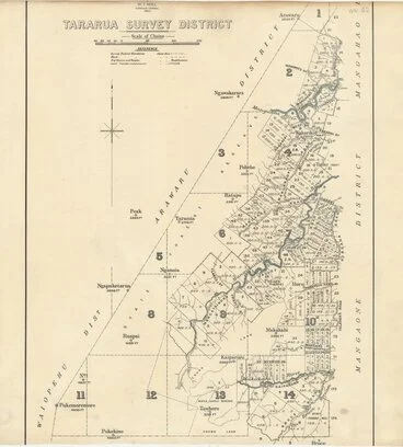 Image: Tararua Survey District [electronic resource] / drawn by E.R. Wilson, 1896.