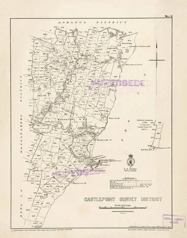 Image: Castlepoint Survey District [electronic resource].