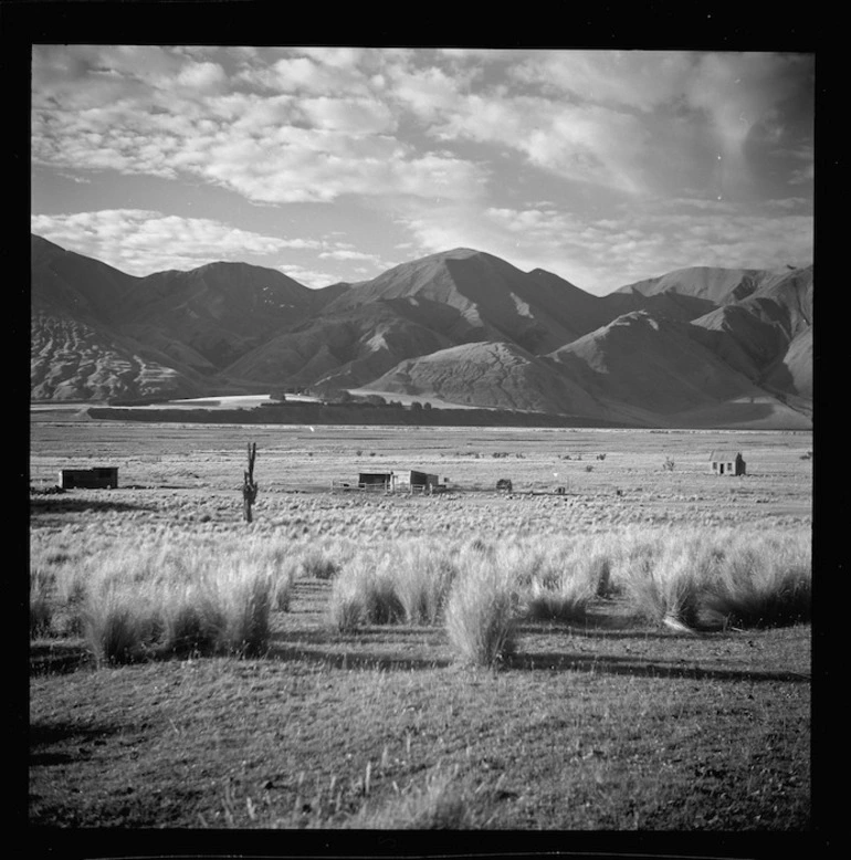 Image: View of Manuka Point Station, Rakaia River Valley, Canterbury