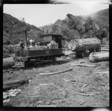 Image: Locomotive and log, Piha