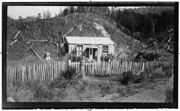 Image: Settler's dwelling