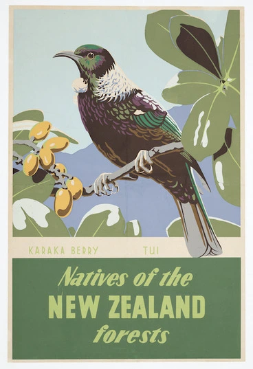 Image: Natives of the New Zealand forests - Karaka berry, tui [1950s?]