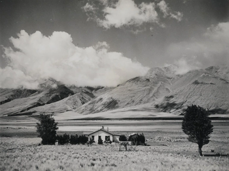 Image: Manuka Point Station, Canterbury