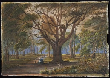 Image: Sharpe, Alfred, 1836-1908: Auckland Domain