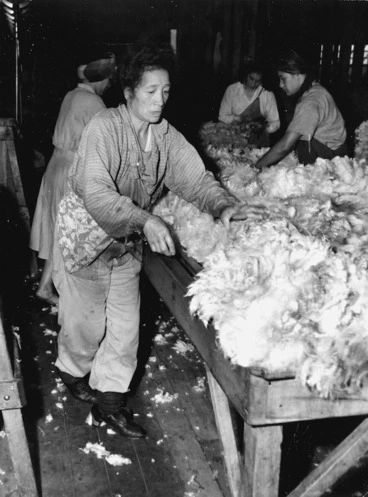 Image: Maori women handling wool in a shearing shed