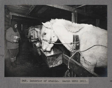 Image: Interior of the stable, Antarctica.
