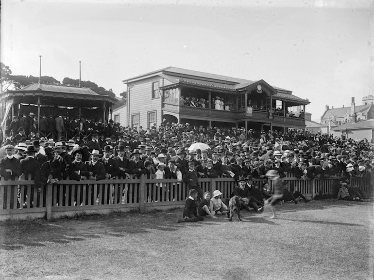 Image: Crowd of spectators, Basin Reserve