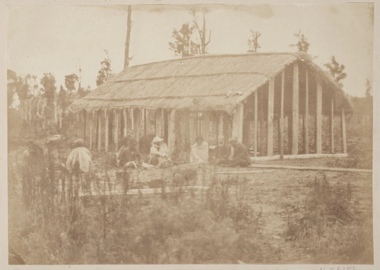 Image: Reception of the Government Scientific Exploring Expedition, Waipa