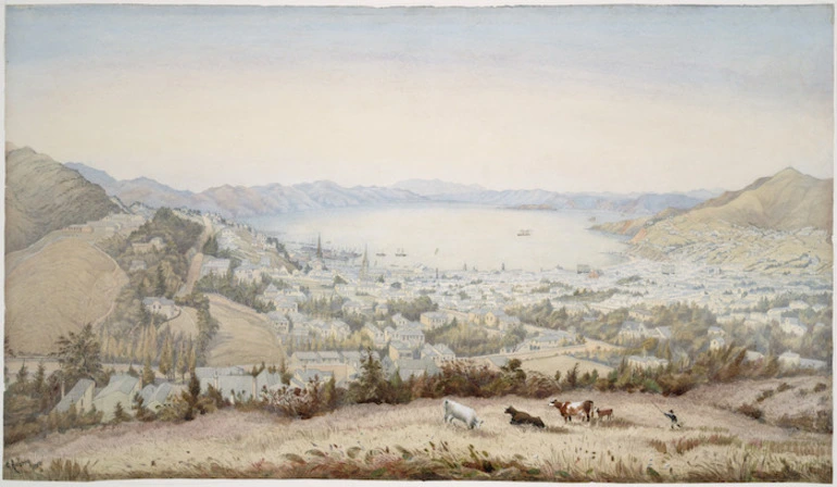 Image: Aubrey, Christopher, fl 1868-1906 :Wellington from Brooklyn. 1888.