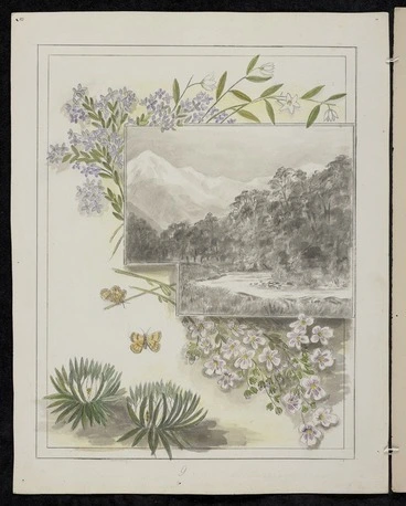 Image: Harris, Emily Cumming 1837?-1925 :Callixene parviflora. Veronica. Euphasia cuneata. Celmisia laricifolia. [1890-1896].