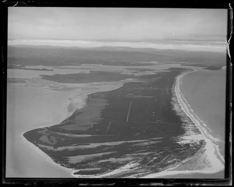 Image: Matakana Island, Tauranga