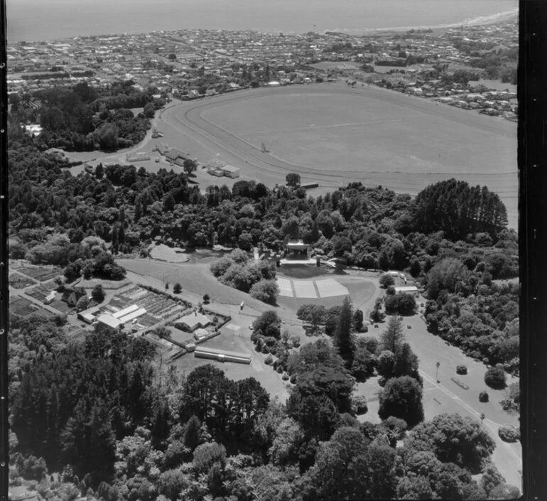 Image: New Plymouth racecourse in the background