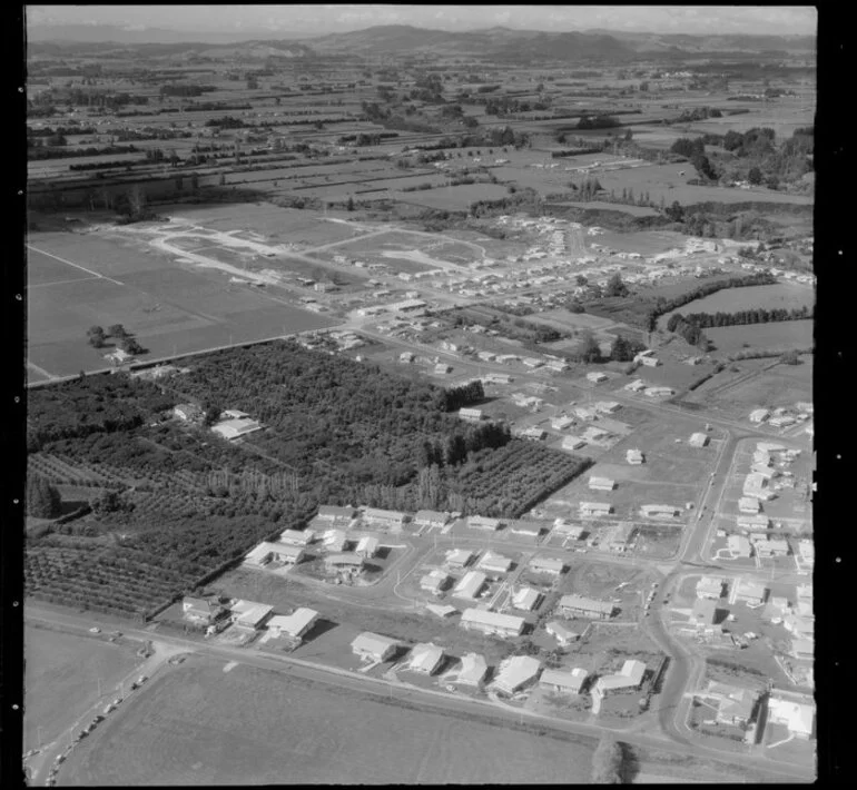 Image: Outskirts of south west Hamilton, showing orchards