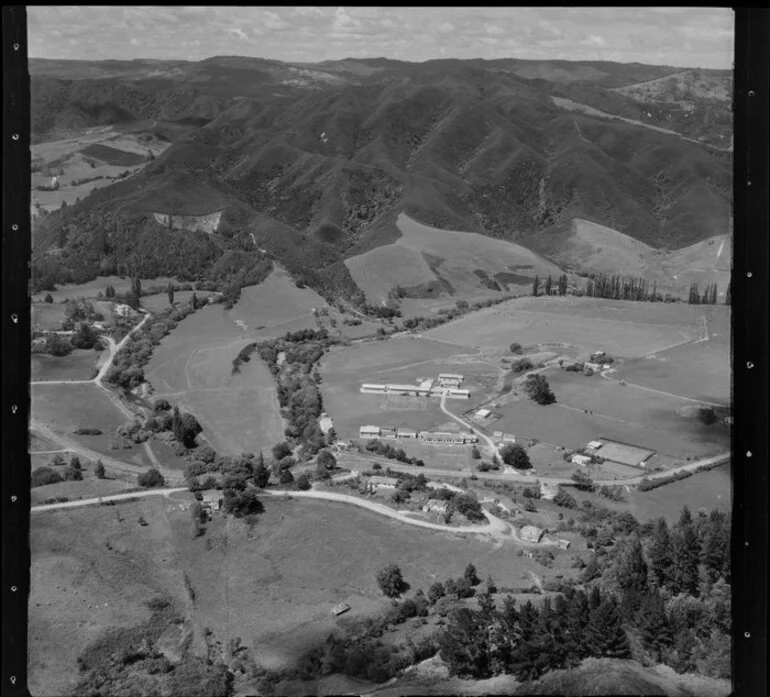 Image: Kaeo Primary School, Northland