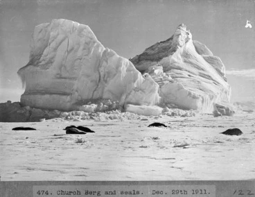 Image: Church Berg and seals, Antarctica