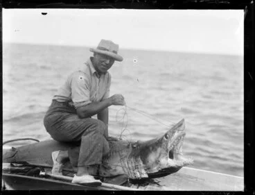 Image: Sid Irving holding open the mouth of a shark with a cord