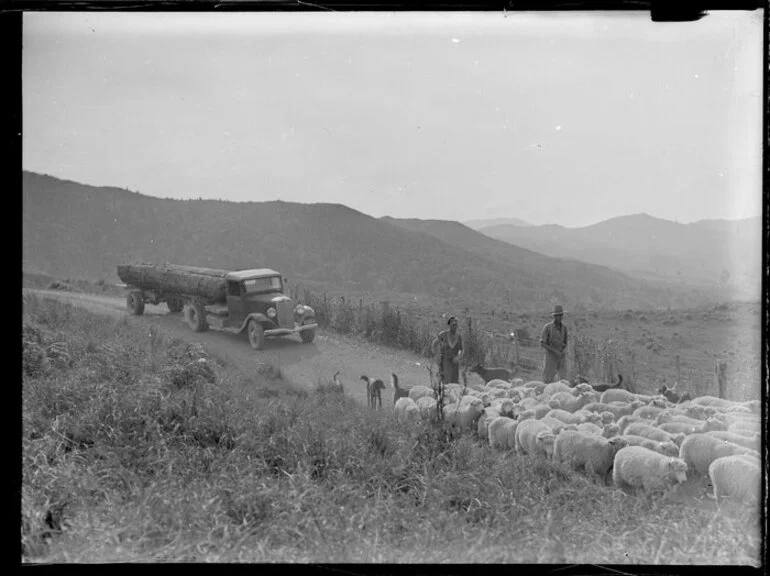 Image: Rural scene with sheep and logging truck