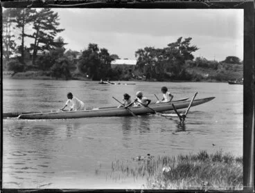 Image: Waka (canoe) hurdle races on the Waikato River